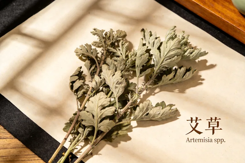 Loose dried mugwort leaves tied in a small bundle.